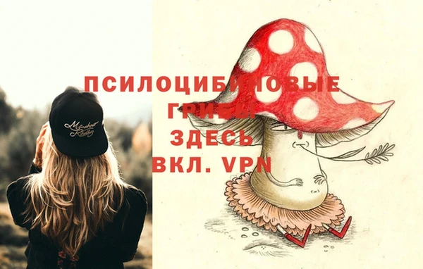 Альфа ПВП Алексеевка