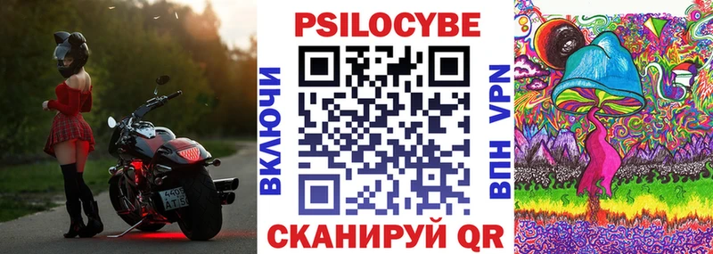 как найти закладки  Большой Камень  Псилоцибиновые грибы мицелий 